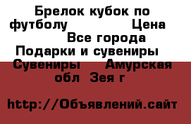 Брелок кубок по футболу Fifa 2018 › Цена ­ 399 - Все города Подарки и сувениры » Сувениры   . Амурская обл.,Зея г.